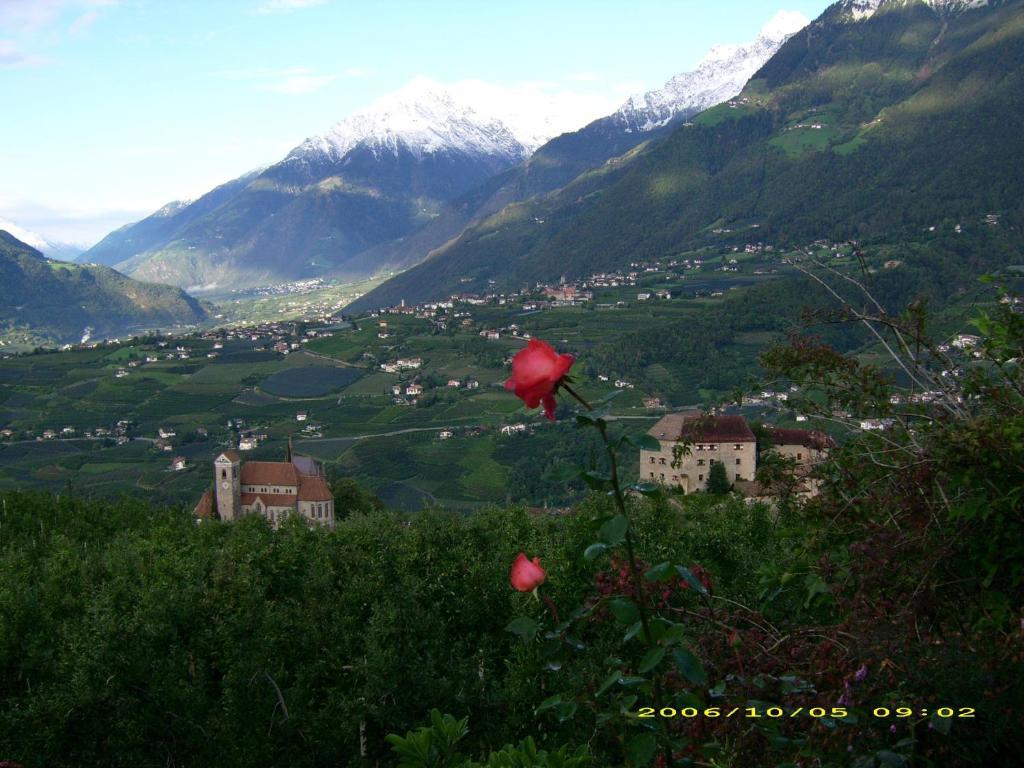 Pension Laurin Scena Exterior foto