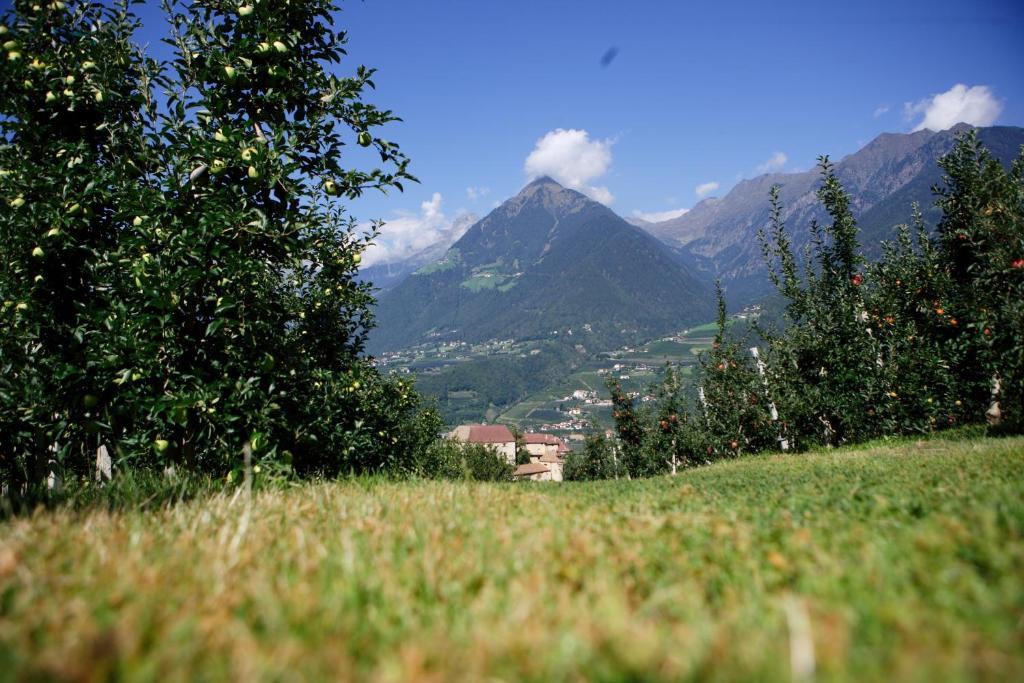 Pension Laurin Scena Exterior foto