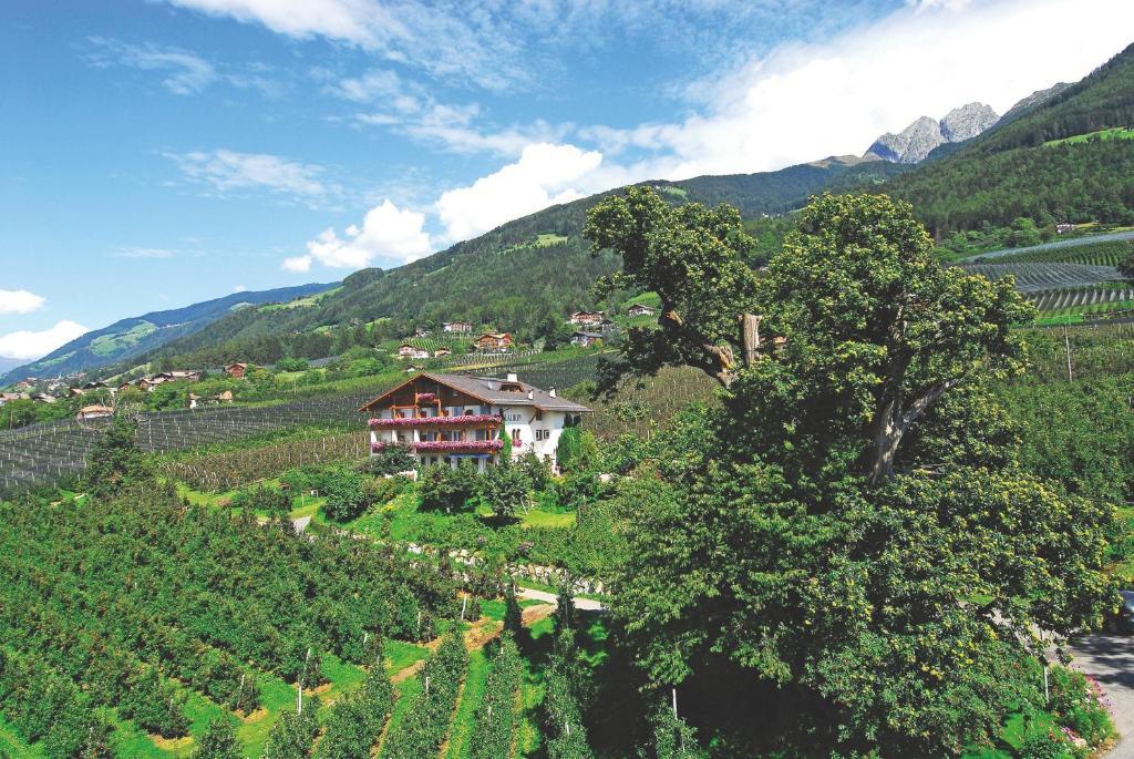Pension Laurin Scena Exterior foto